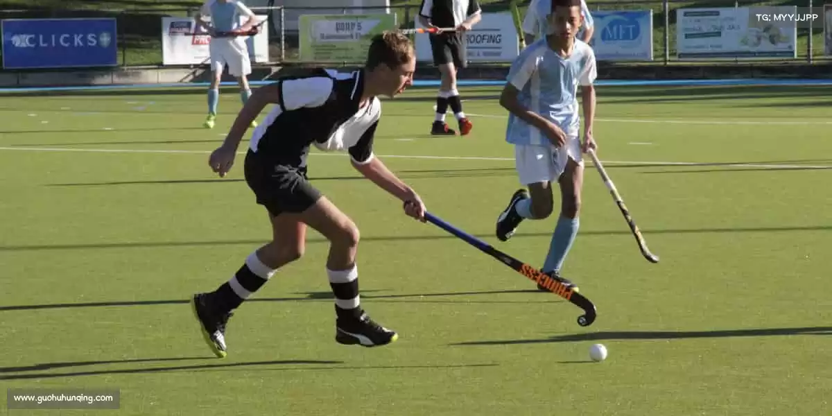 行业领先的理由